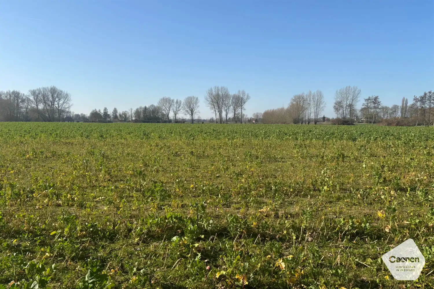 Charmante landelijke woning op een perceel van 1104 m² in een rustige en groene omgeving. foto 4