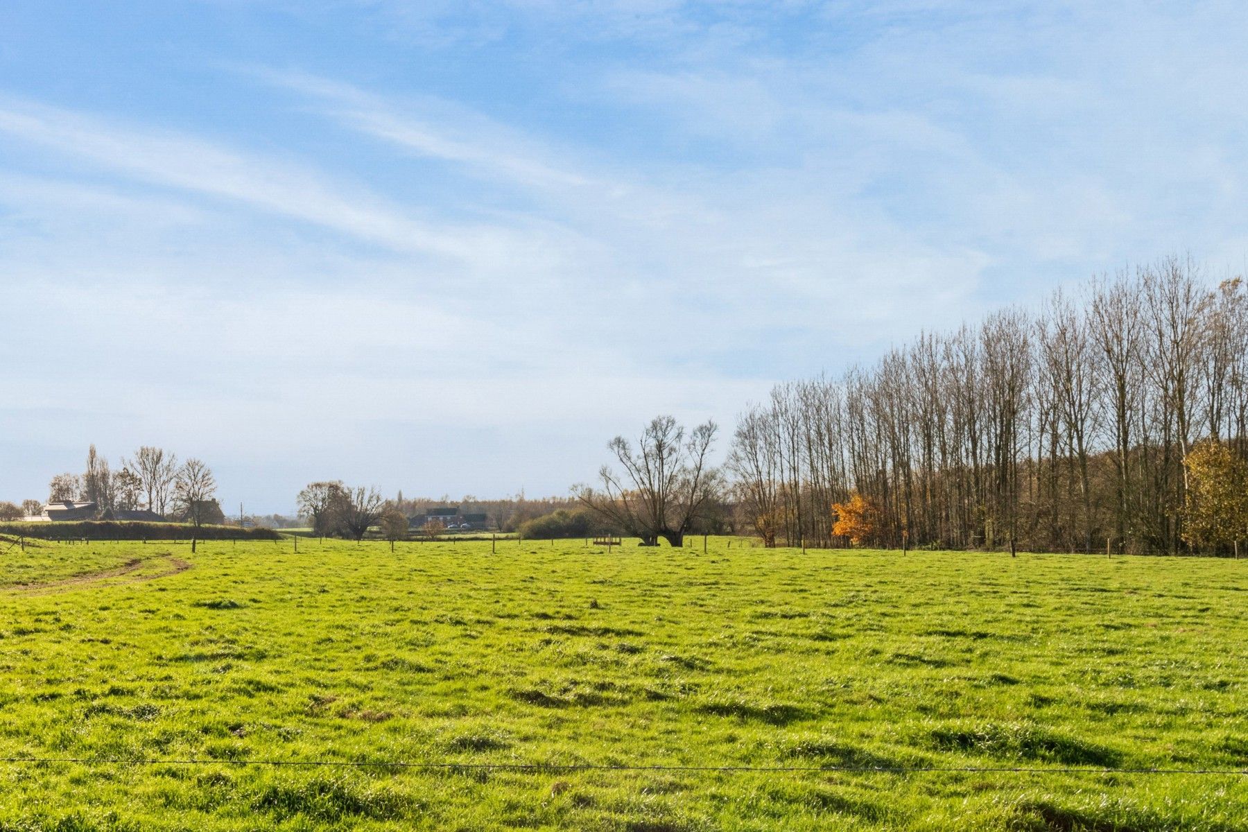 Uniek perceel grond mét vergunning aan het Tiegembos -900 m² foto 3