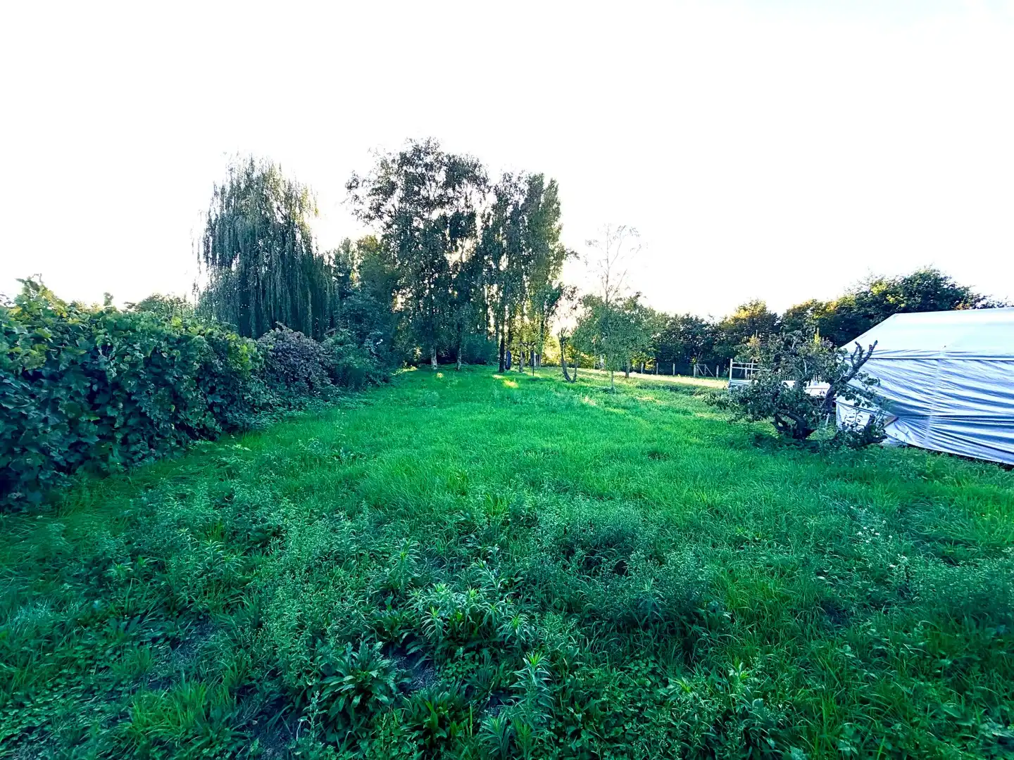 ​​​​​​​Te renoveren woning op 1.167 m²! foto 7