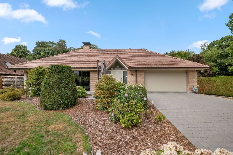 Villa van 349m² op 29a67ca met openluchtzwembad foto 3