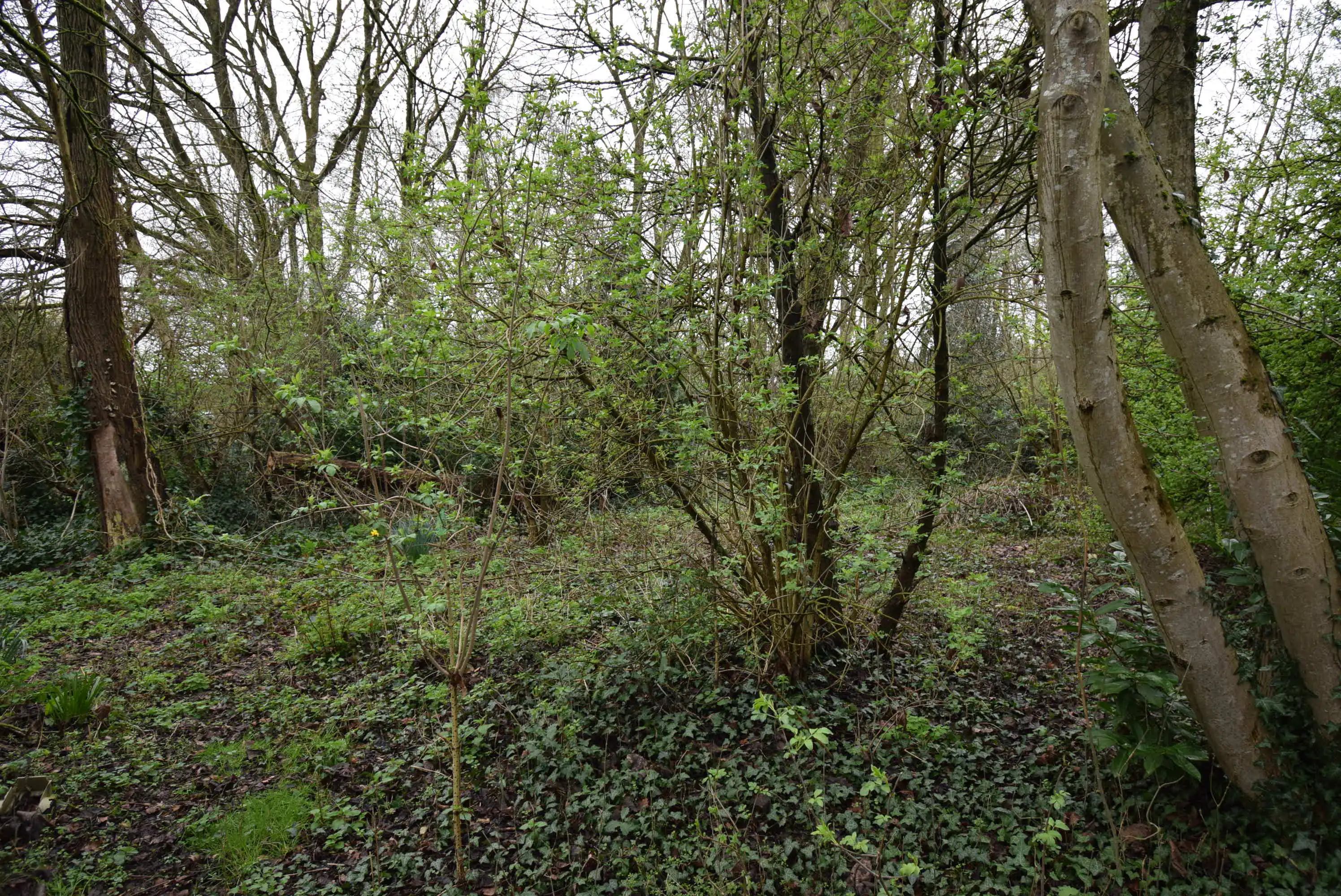 Te renoveren boerderijtje  foto 20