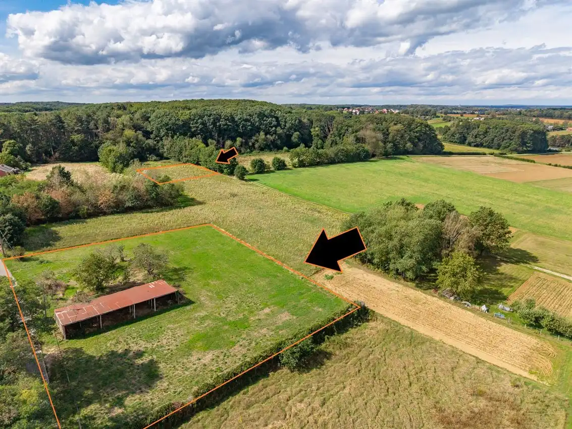 Te renoveren boerderij met 2 weides (45a en 21a) en ruime hangaar foto 3