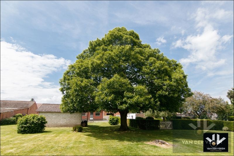 WONING MET VEEL POTENTIEEL OP 20a92ca! foto 25
