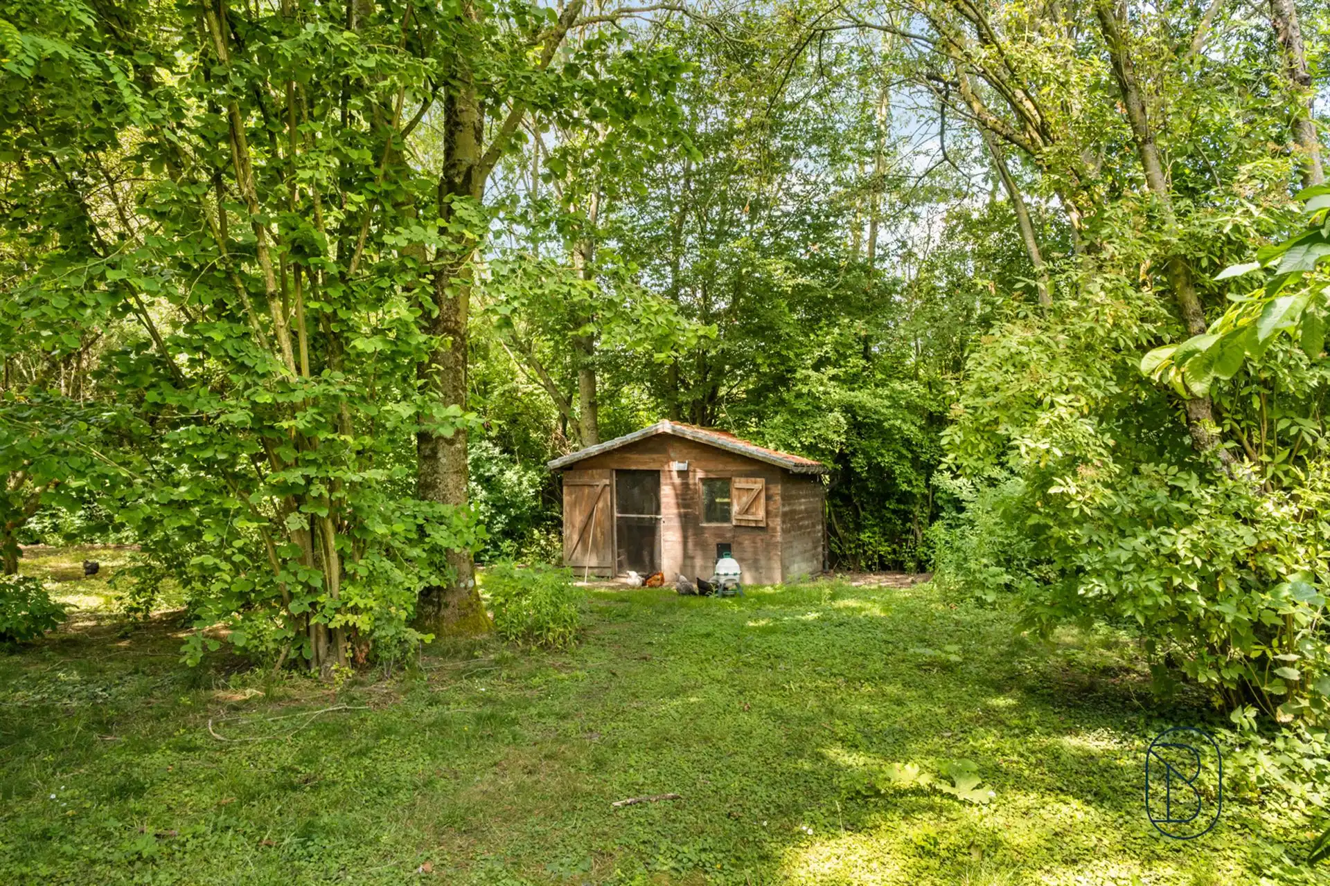Uitzonderlijke af te werken villa woning op 5.600 m² foto 10