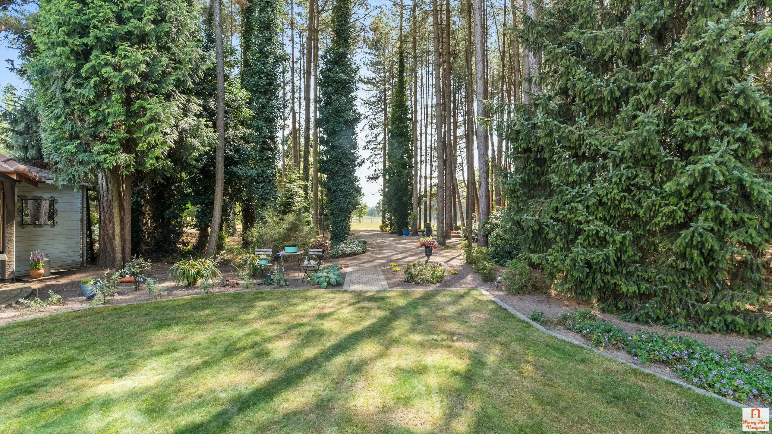 Ruime, luxueuze villa met overdekt zwembad en 1,8 ha natuur foto 63