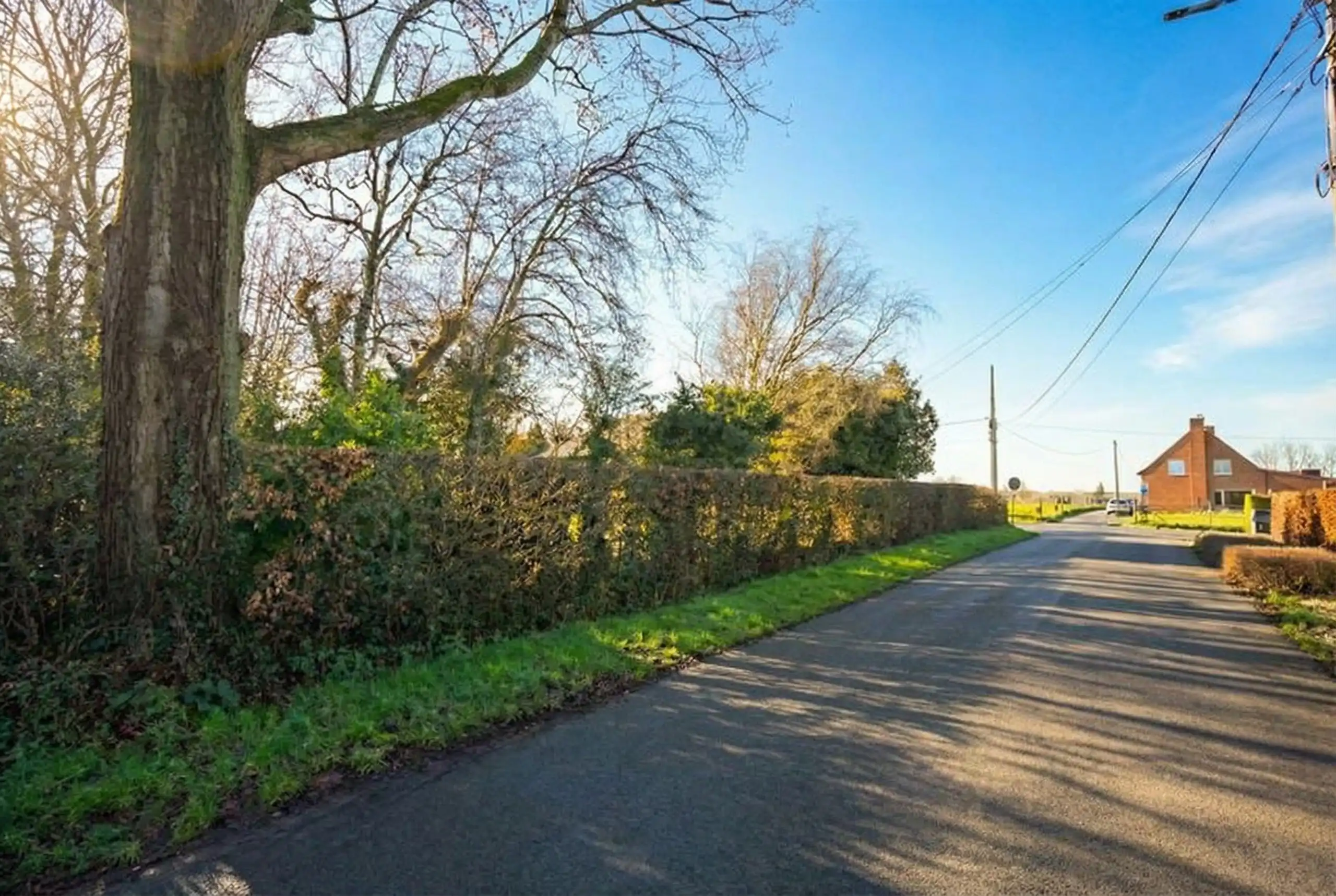 Interessante  te moderniseren woning met garage op 1184 m² foto 3