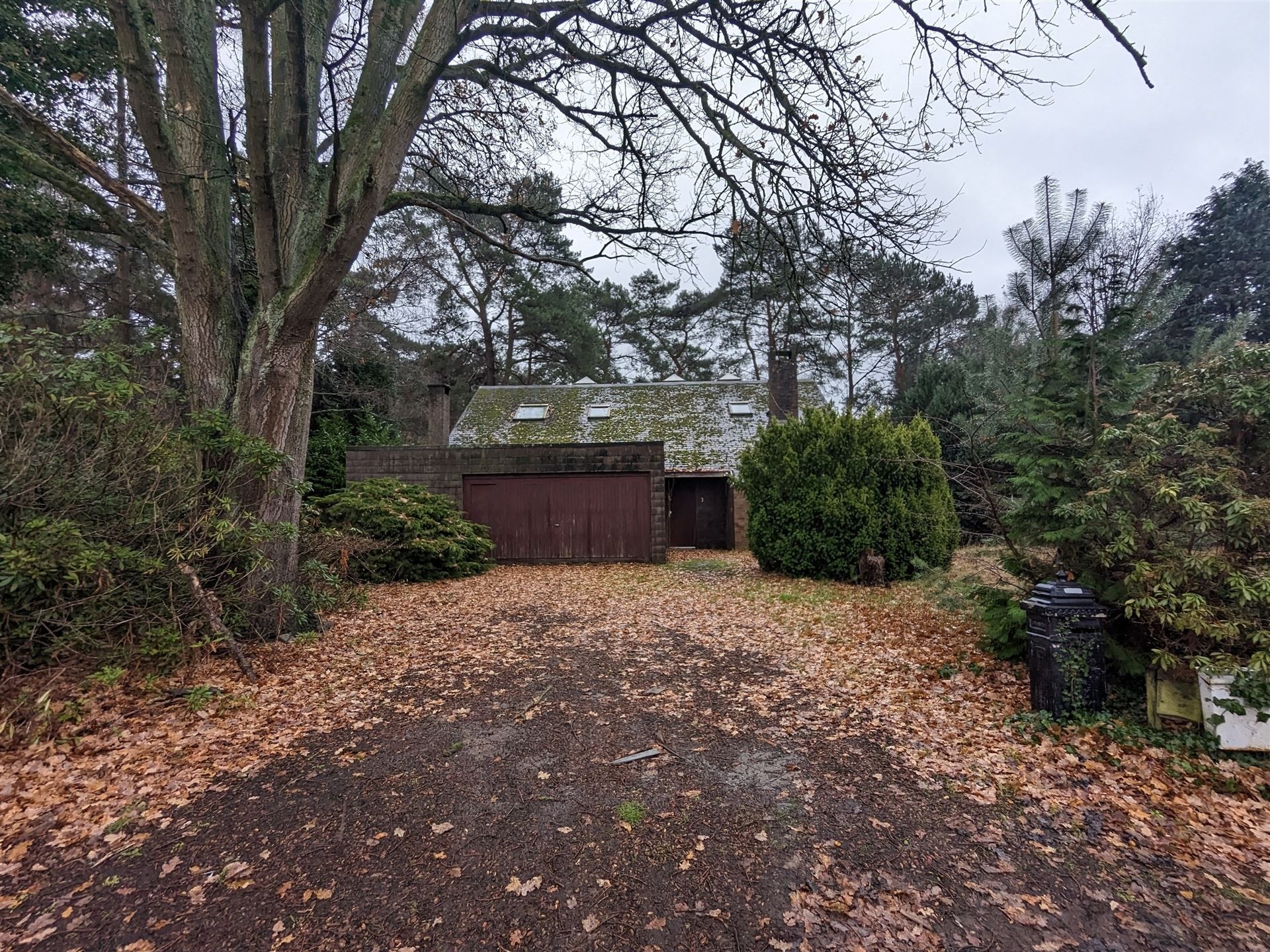 Totaalrenovatie in een groene omgeving! (registratie mogelijk aan 1%) foto 4