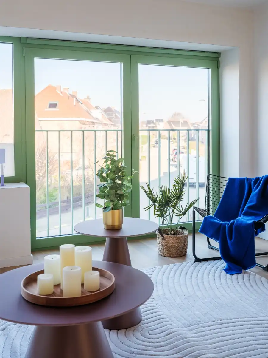 Gerenoveerd 2 slpk appartement met terras te Destelbergen foto 11