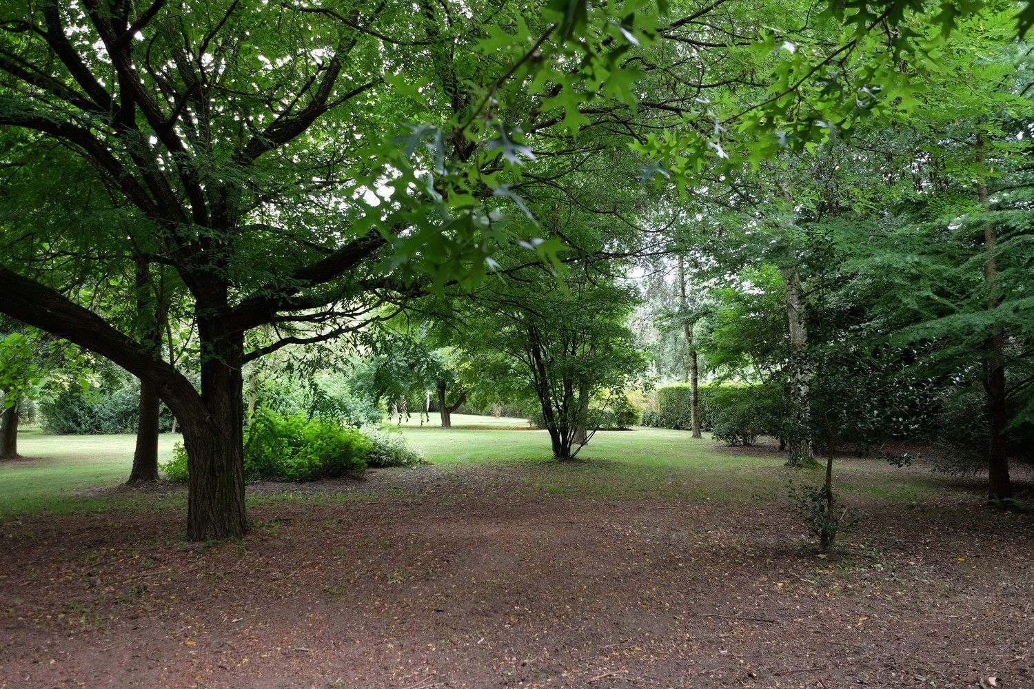 Uniek perceel met een charmante vakantiewoning midden in de natuur omgeven door een uitzonderlijke collectie van prachtige bomen. foto 21