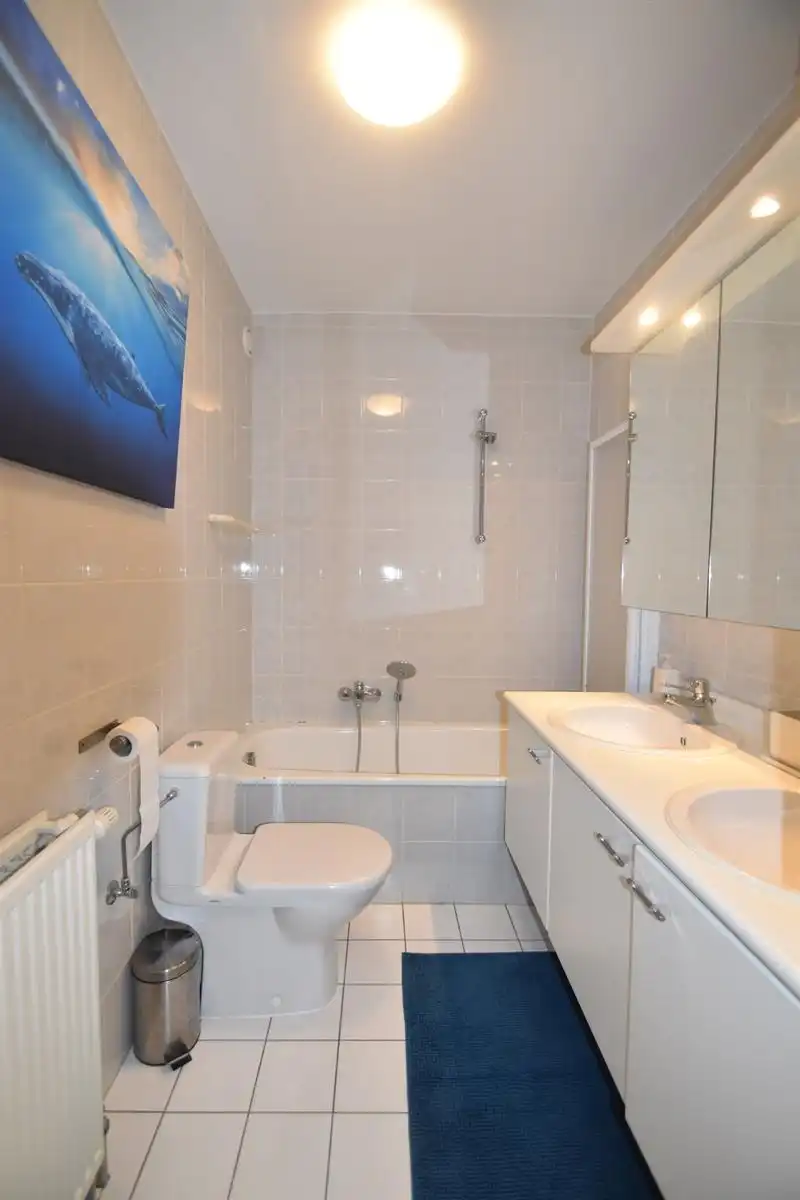 ANTWERPEN - GEMEUBELD appartement nabij Meir en centraal station foto 10
