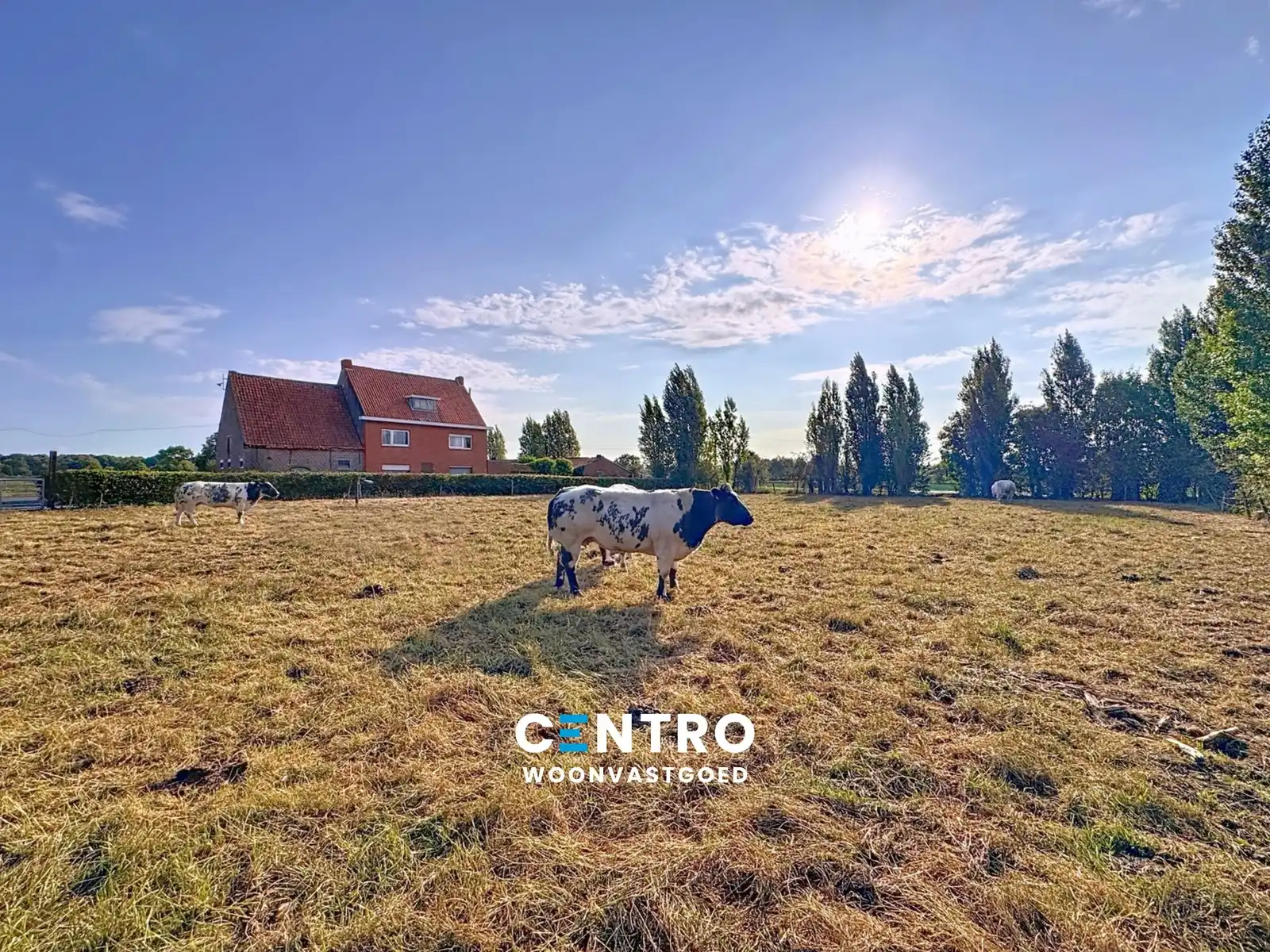 Te renoveren hoeve op circa 1 ha op GOEDE ligging! foto 3