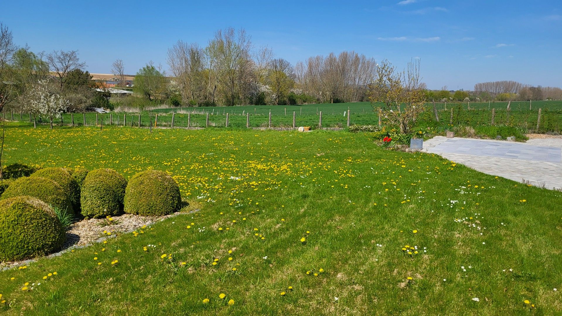 Prachtige bungalow in het lieflijke Neerlanden, temidden van de velden foto 6