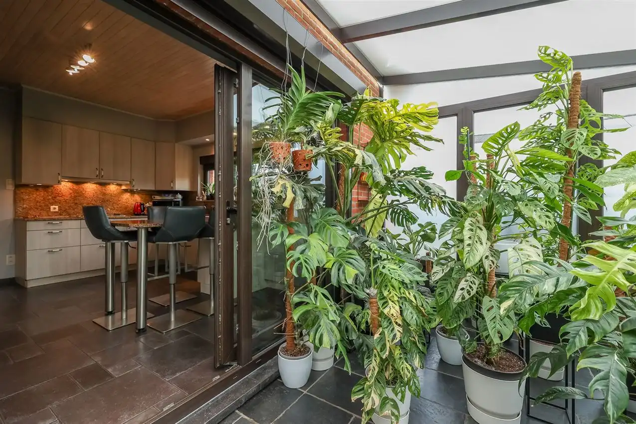 Toffe woning met weiland van meer dan 1Ha foto 9