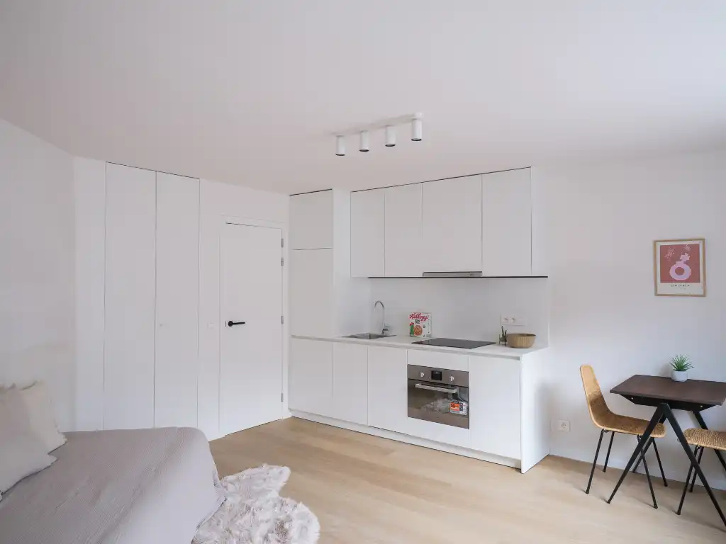 Lichtrijk en energiezuinige studentenstudio&nbsp;op fietsafstand van Gent centrum foto 7