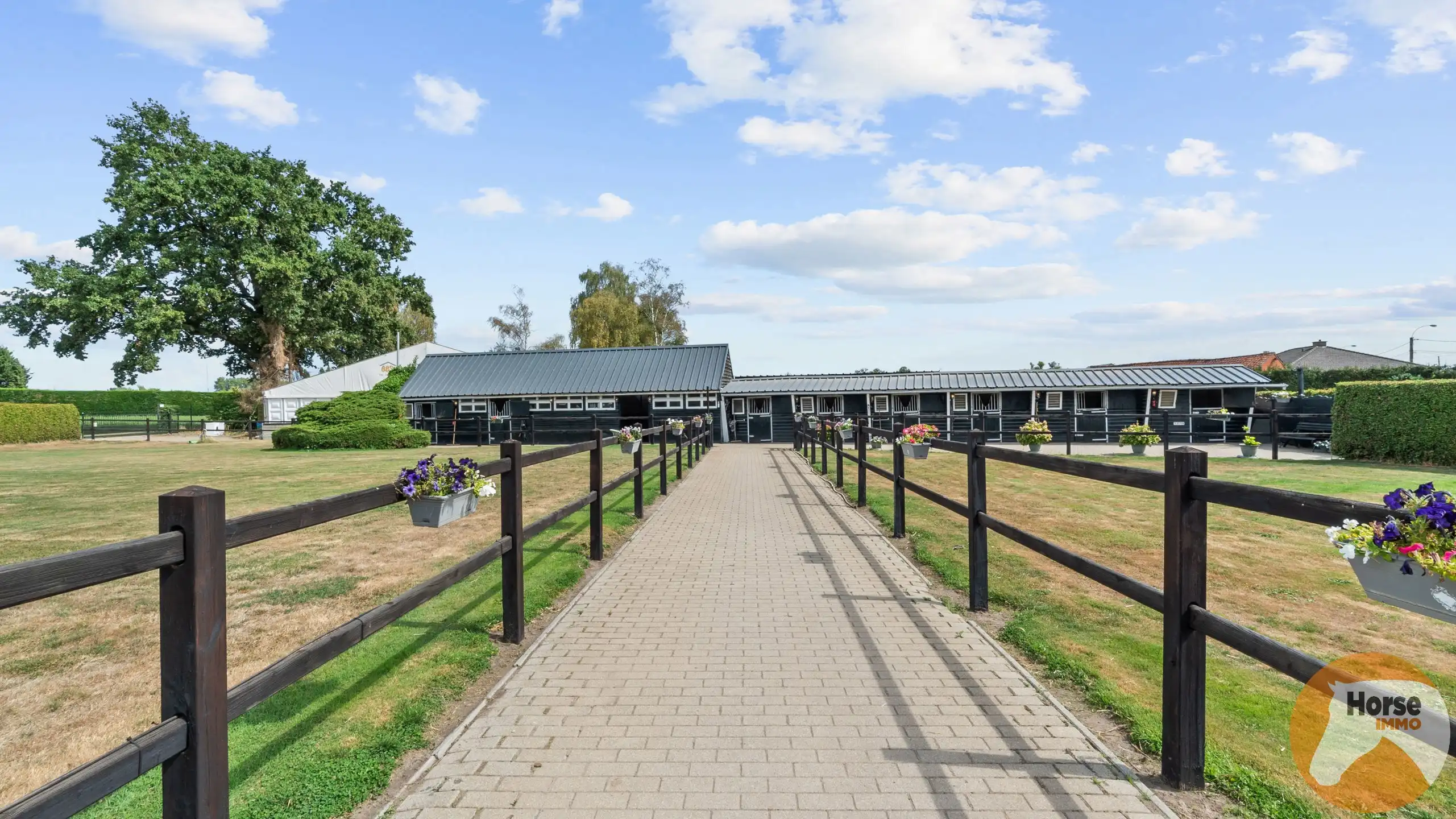 NEEROETEREN-Woning met accommodatie voor (semi)professioneel foto 6