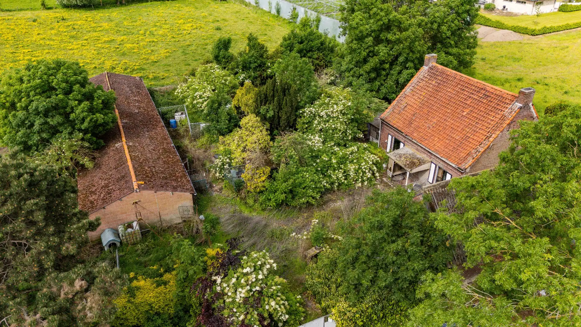 PRACHTIG GELEGEN HOEVE | RUSTIGE LIGGING | 1ha 47a foto 5