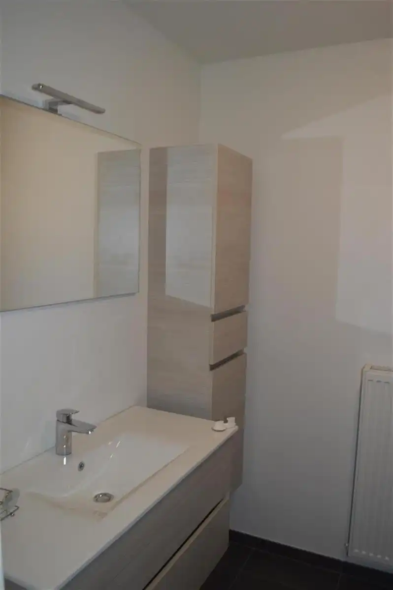 BURST -  Ruime duplex foto 9