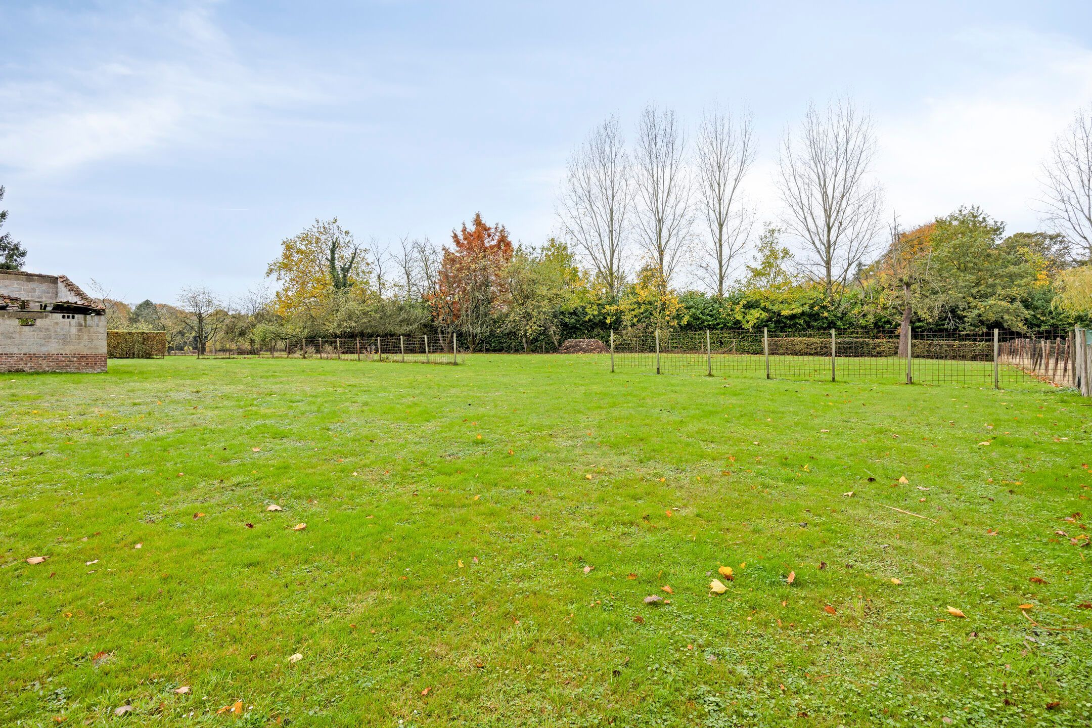 Opportune woning te Lubbeek: omringd door natuur foto 27