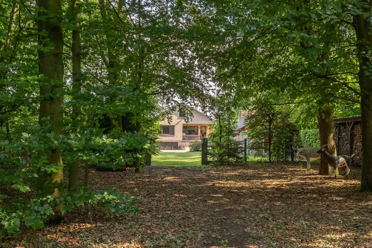 Hoofdfoto van de publicatie: Retrokarakter, diepe tuin en bosgevoel achteraan