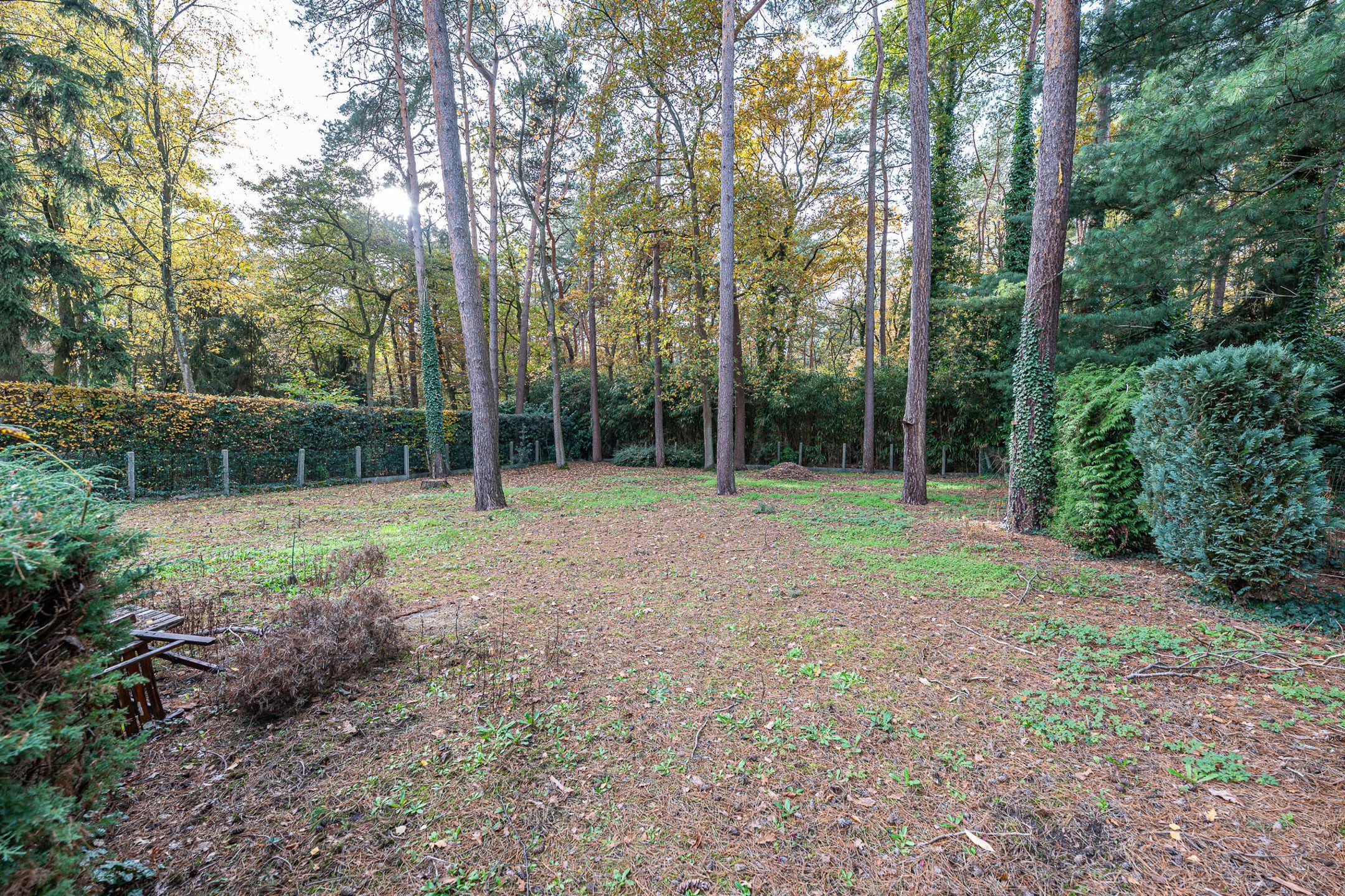 Ruime gezinswoning  in residentiële, groene omgeving foto 7