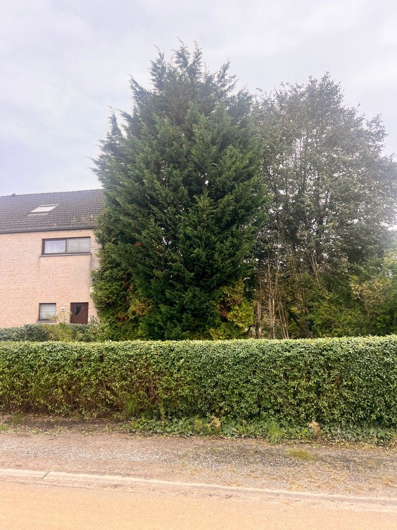 Bouwgrond met bouwvergunnning foto 8