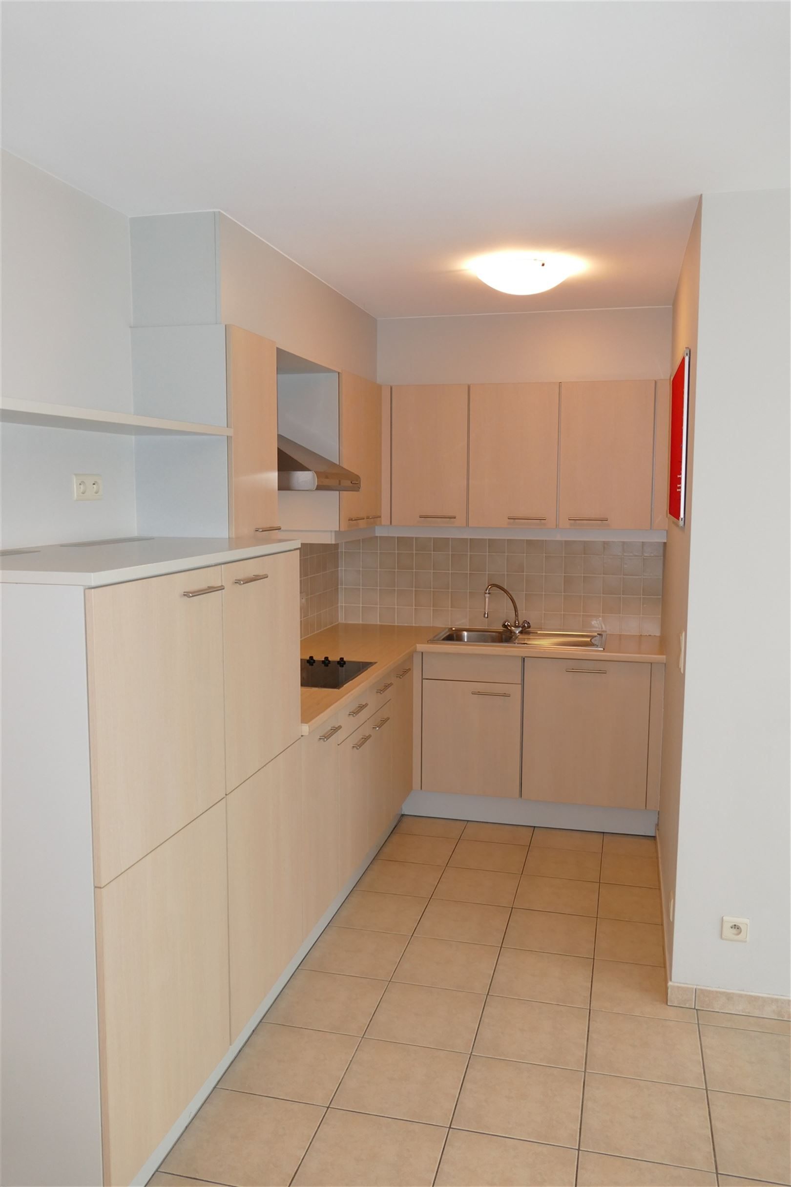 Gelijkvloers appartement met terras en garage foto 2