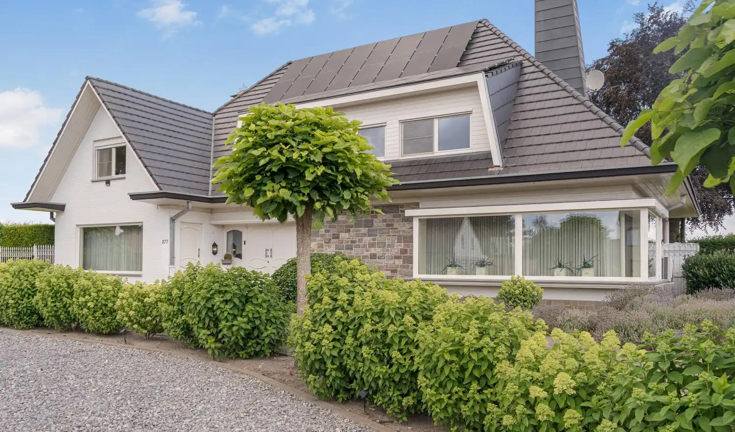 Verrassend ruime villa met 5 slaapkamers, praktijkruimte, zwembad en eindeloze mogelijkheden foto 2