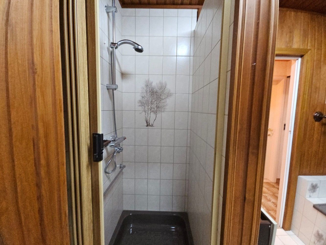 Volledig onderkelderde villa met zongerichte tuin foto 17