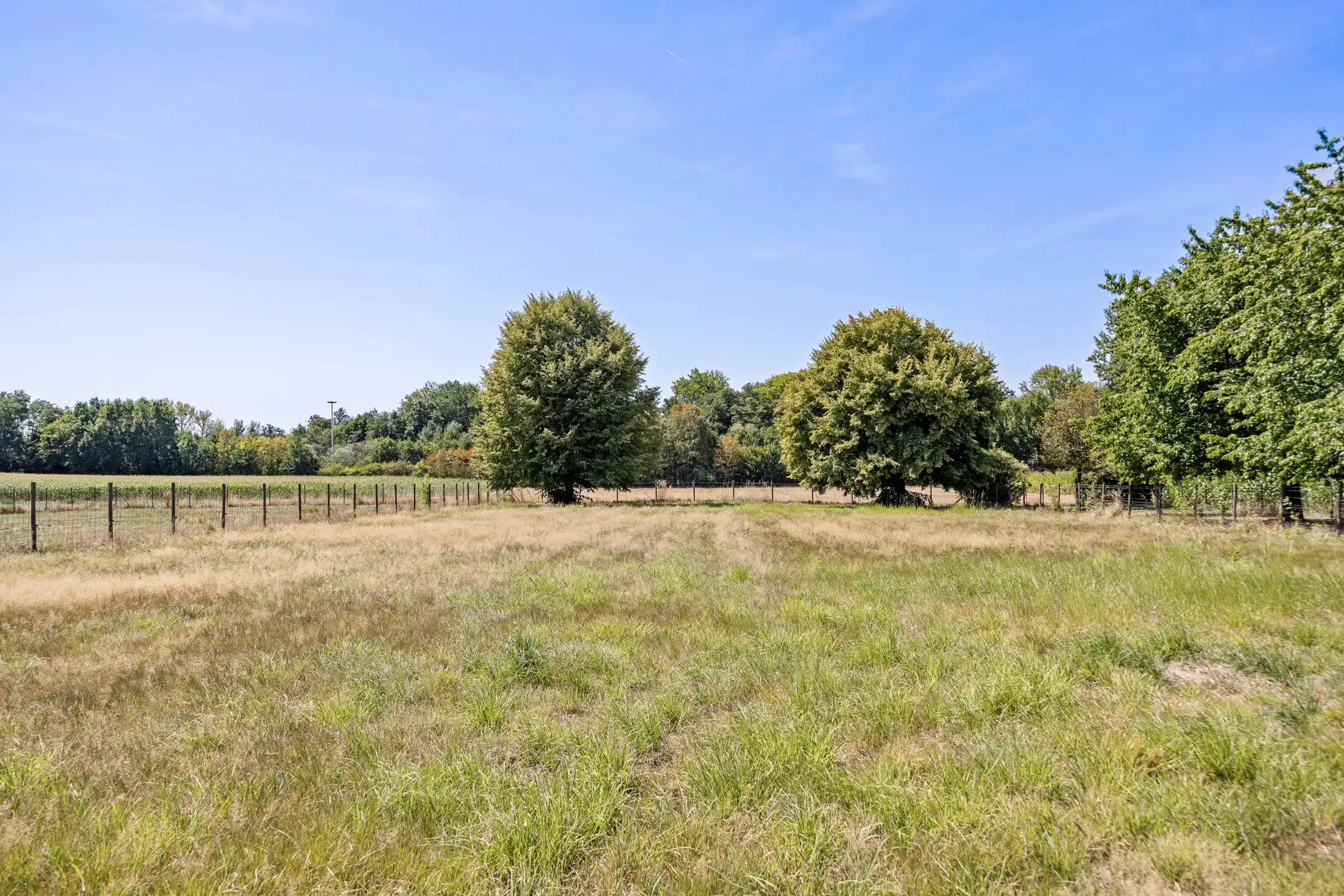 Halfvrijstaande woning op 49a62ca incl. weide foto 28