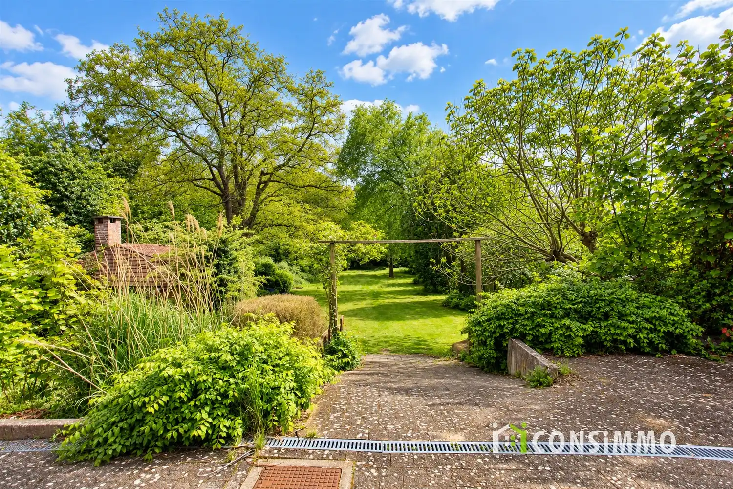 Uitzonderlijke eigendom op 41 are in hartje Opglabbeek – meerdere woningen, ruime bijgebouwen en tal van mogelijkheden! foto 28