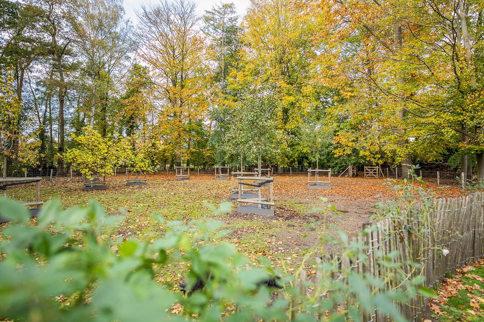 Uniek domein met zeer ruim pand temidden van de natuur  foto 42