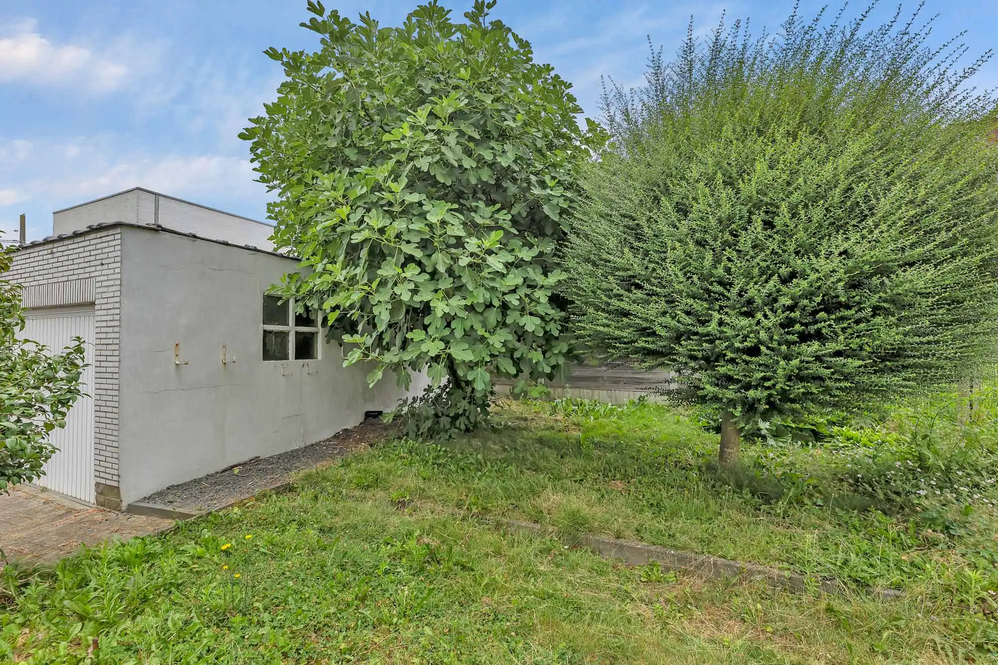 Te renoveren woning op 3a36ca met 3 slaapkamers en garage foto 2