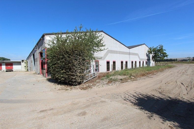 Magazijn te huur Steenstraat 4 -/A - 8680 Koekelare