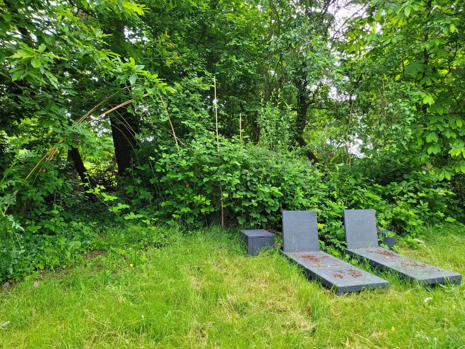 Huis te koop foto 28