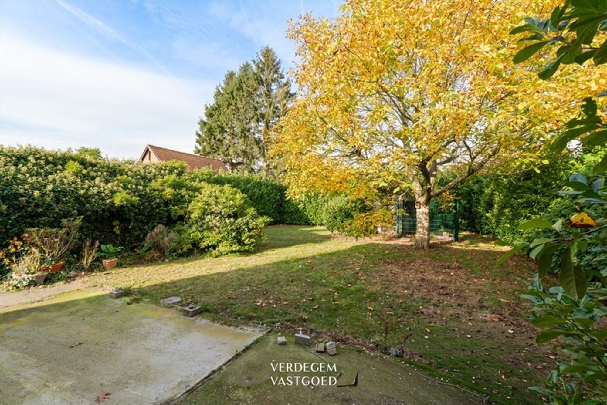 Woning voor totaalrenovatie of perceel voor nieuwbouw / ontwikkeling foto 16