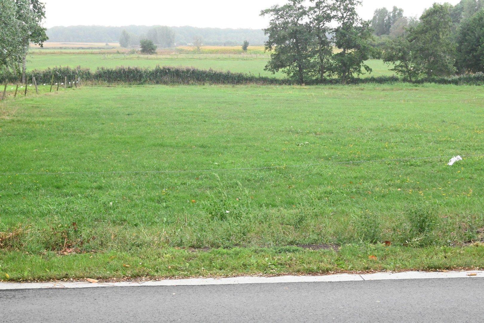 Landelijk gelegen woning met garage en tuin foto 3