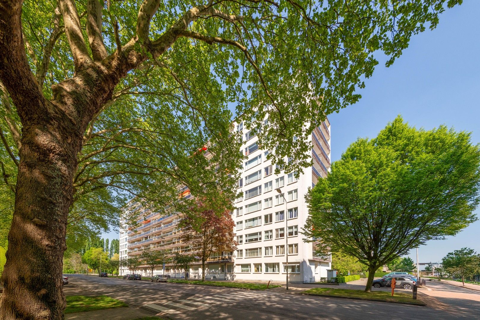 Gerenoveerd 3 SLPK hoekappartement in LO! foto 23