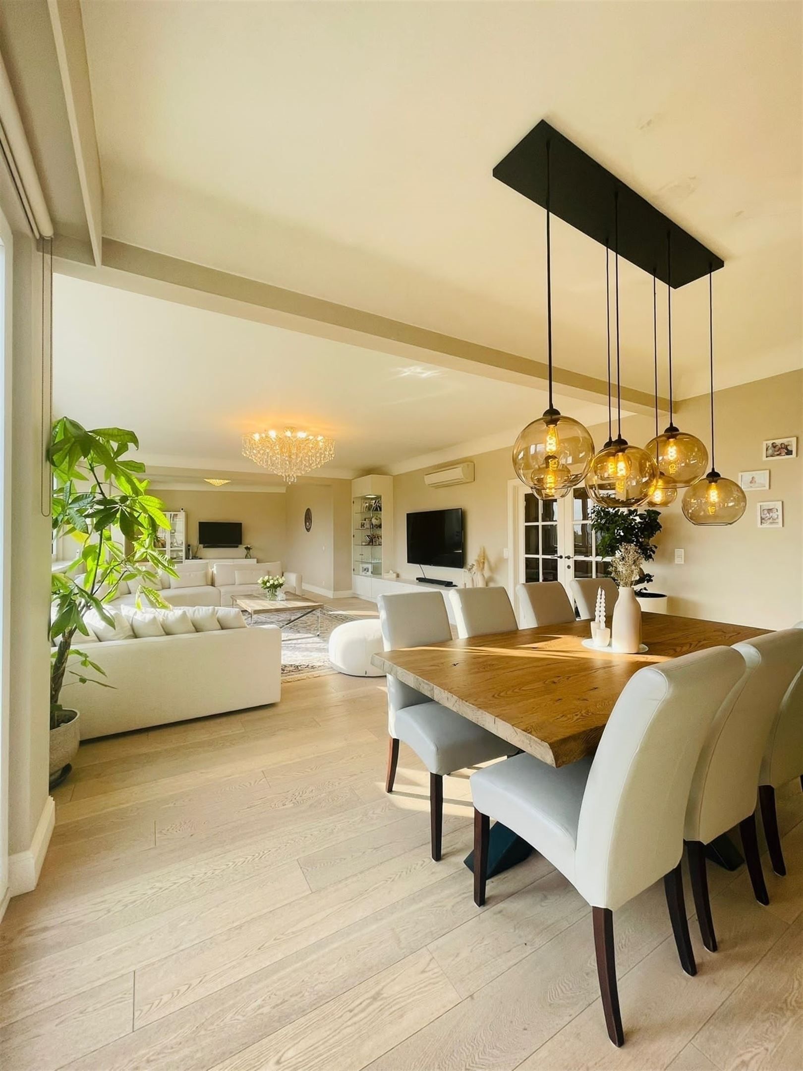 Uniek penthouse met zicht op het Albertpark !  foto 2