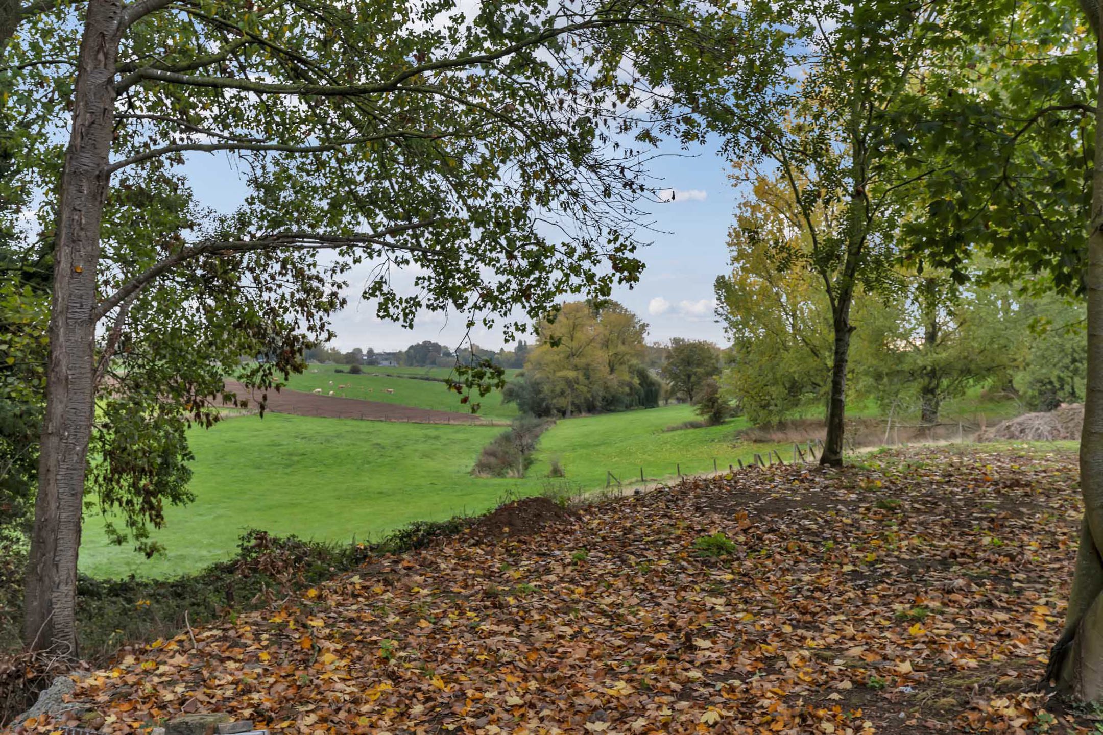 Loods (600m²)  met woonmogelijkheid op rustige locatie foto 20