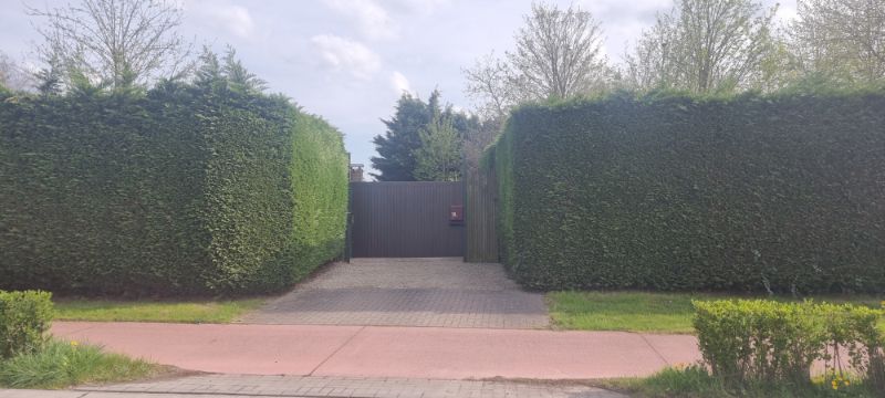 Alleenstaande bungalow foto 18