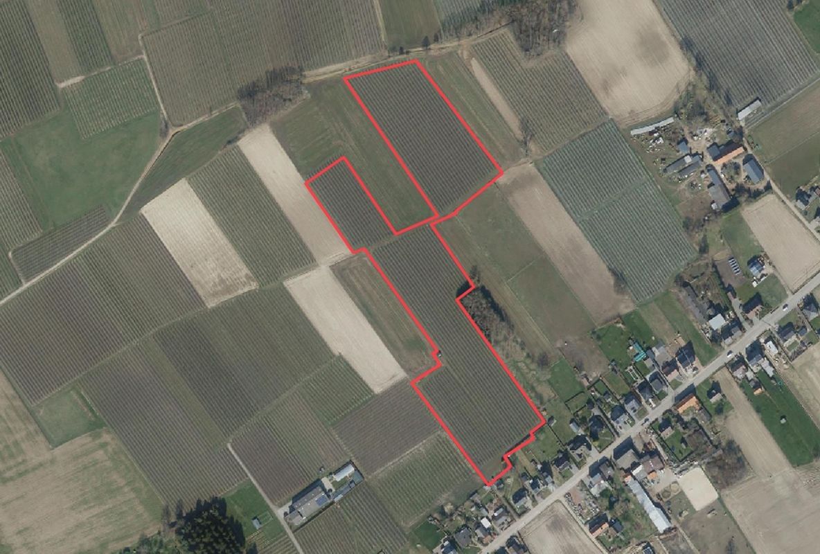 Perenboomgaard te koop te Tielt-Winge foto {{pictureIndex}}