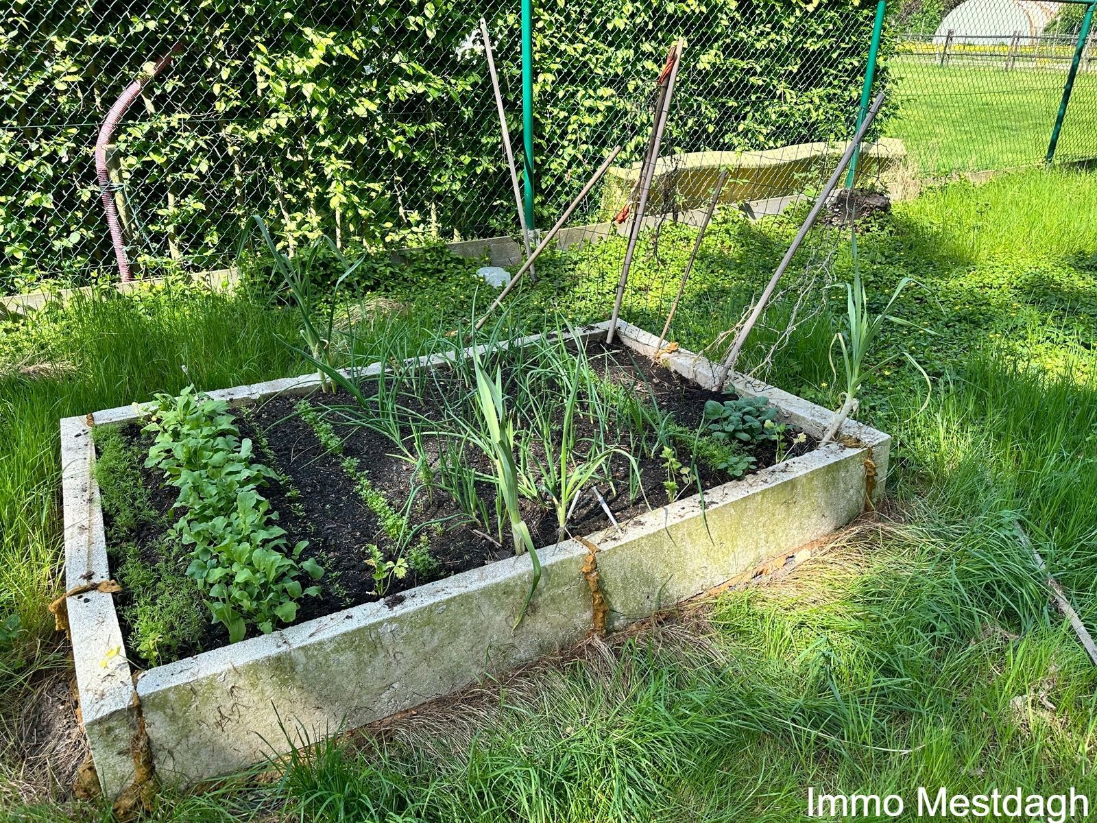 Ruime woning en tuinberging met potentieel in het landelijke Geetbets. foto 8