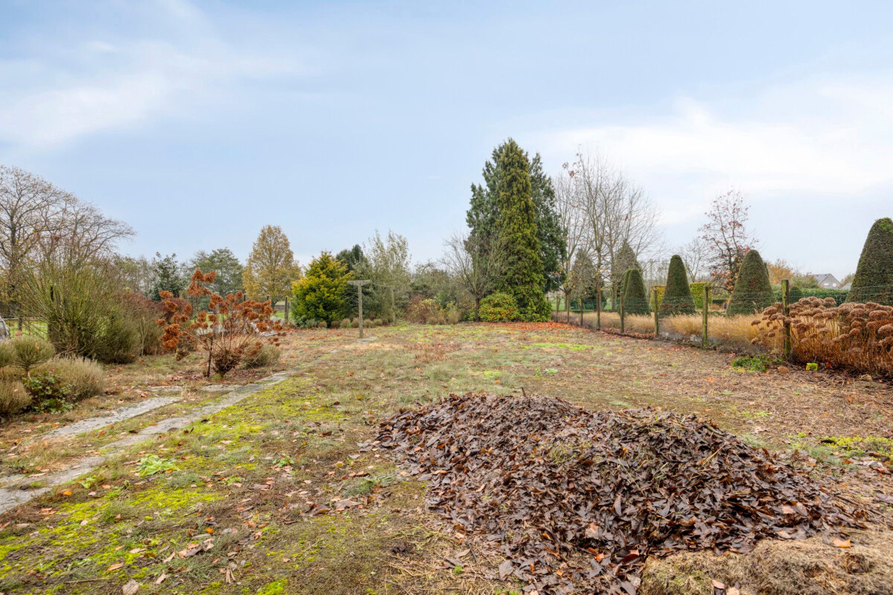 Huis te koop foto 14