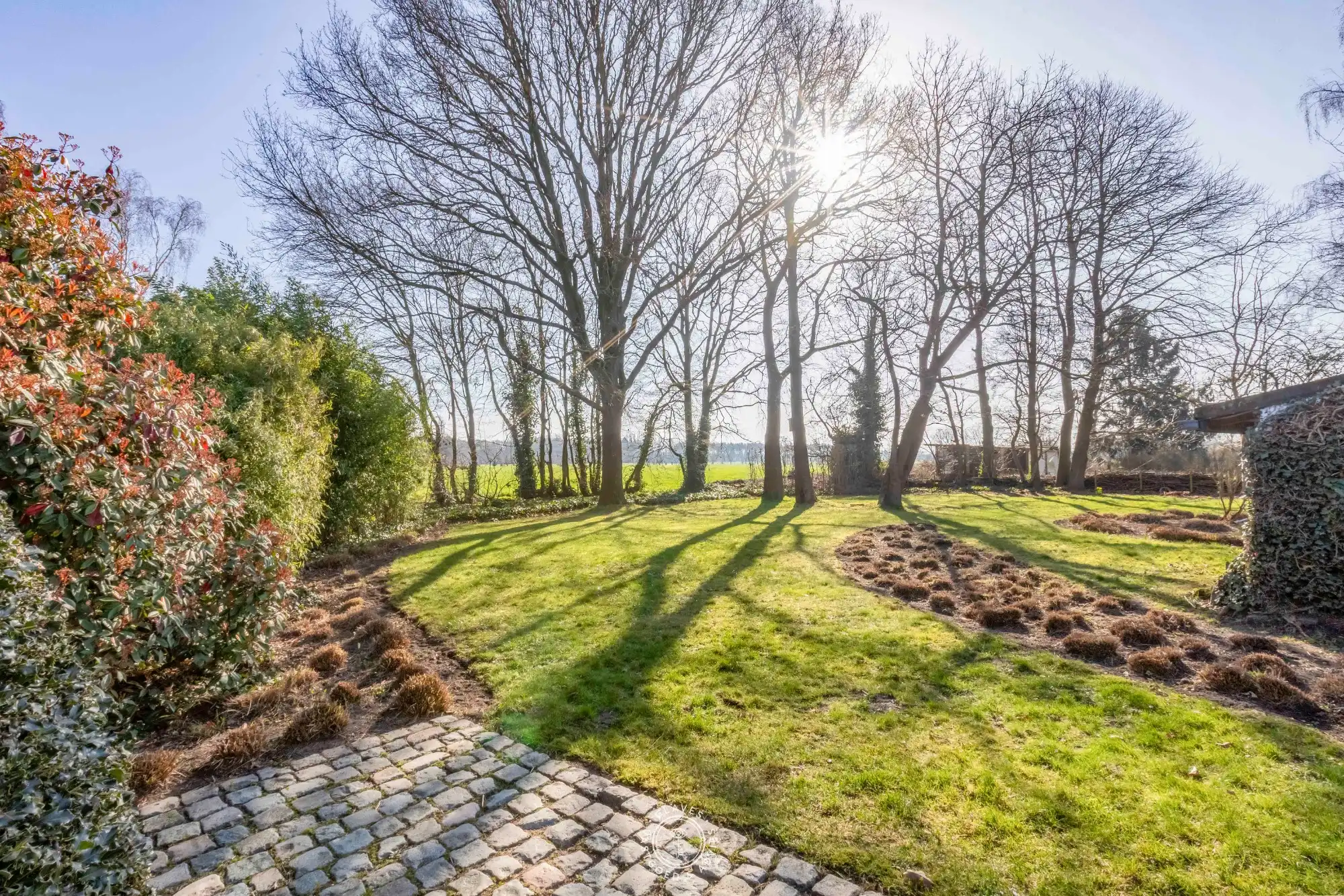 Charmante hofstede op 2.280 m² in het landelijke Sint-Pauwels foto 6