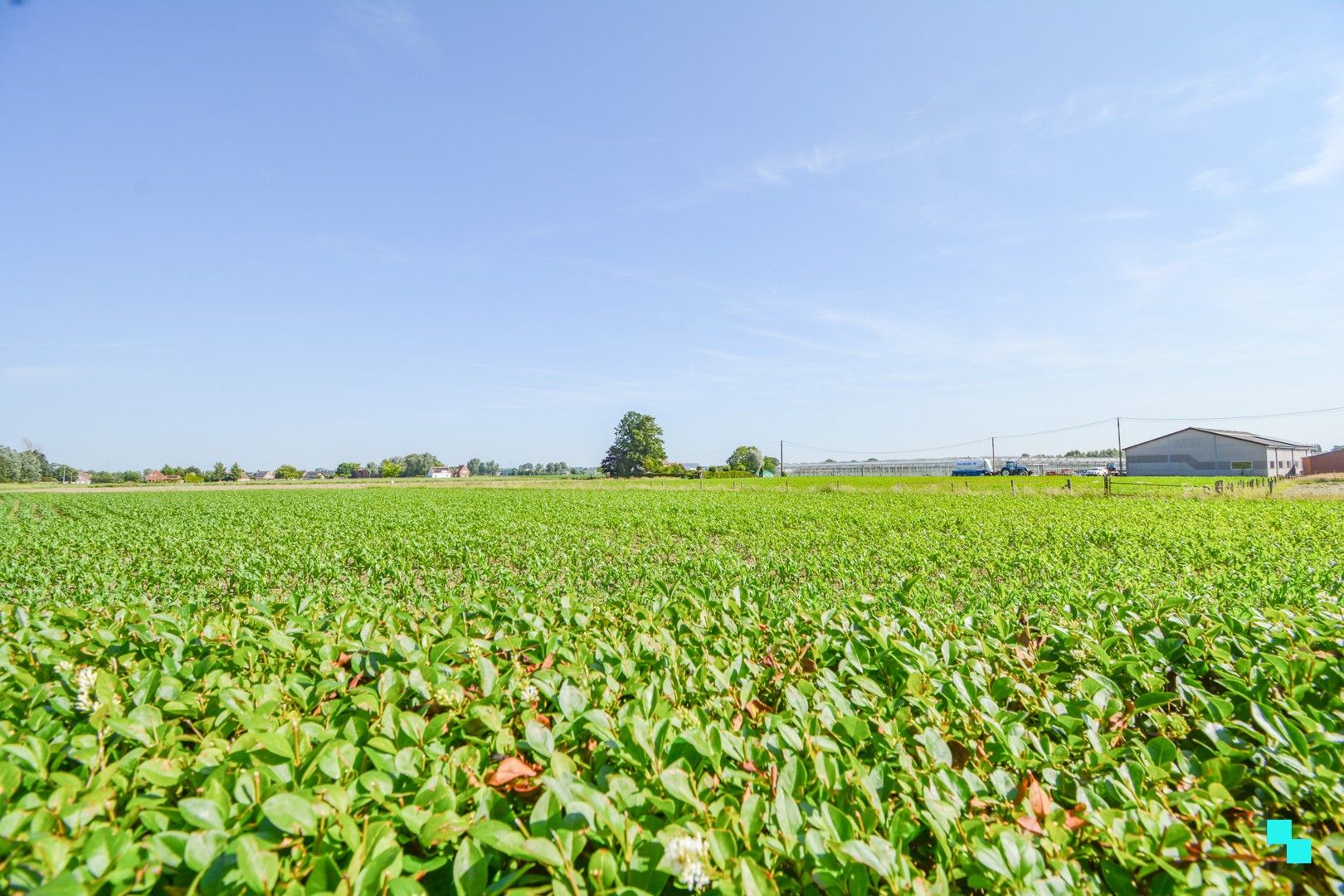 Aantrekkelijke, te renoveren HOB te Oostnieuwkerke foto 16