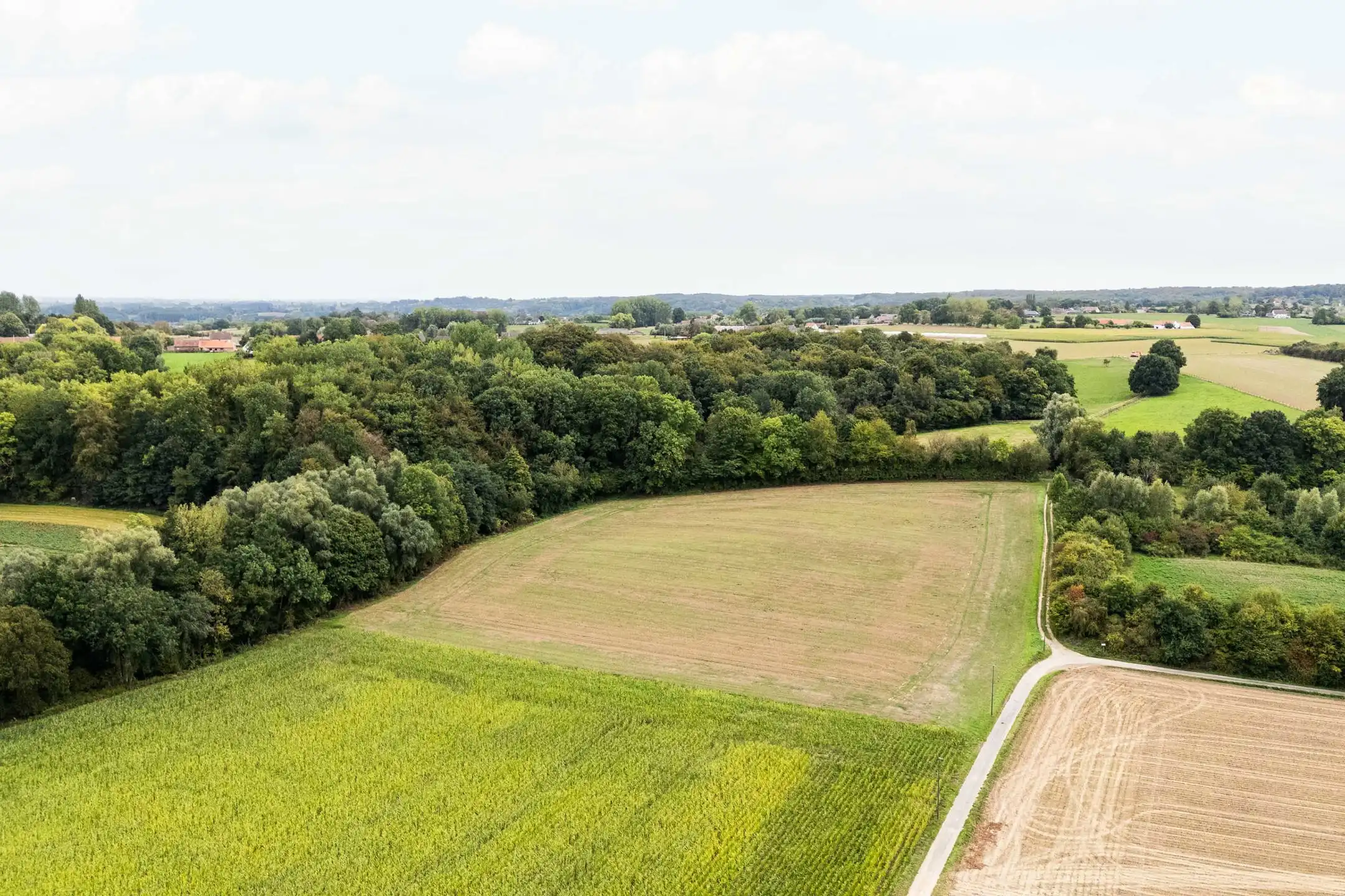 Rustig gelegen weiland in een groene en landelijke omgeving! foto 11