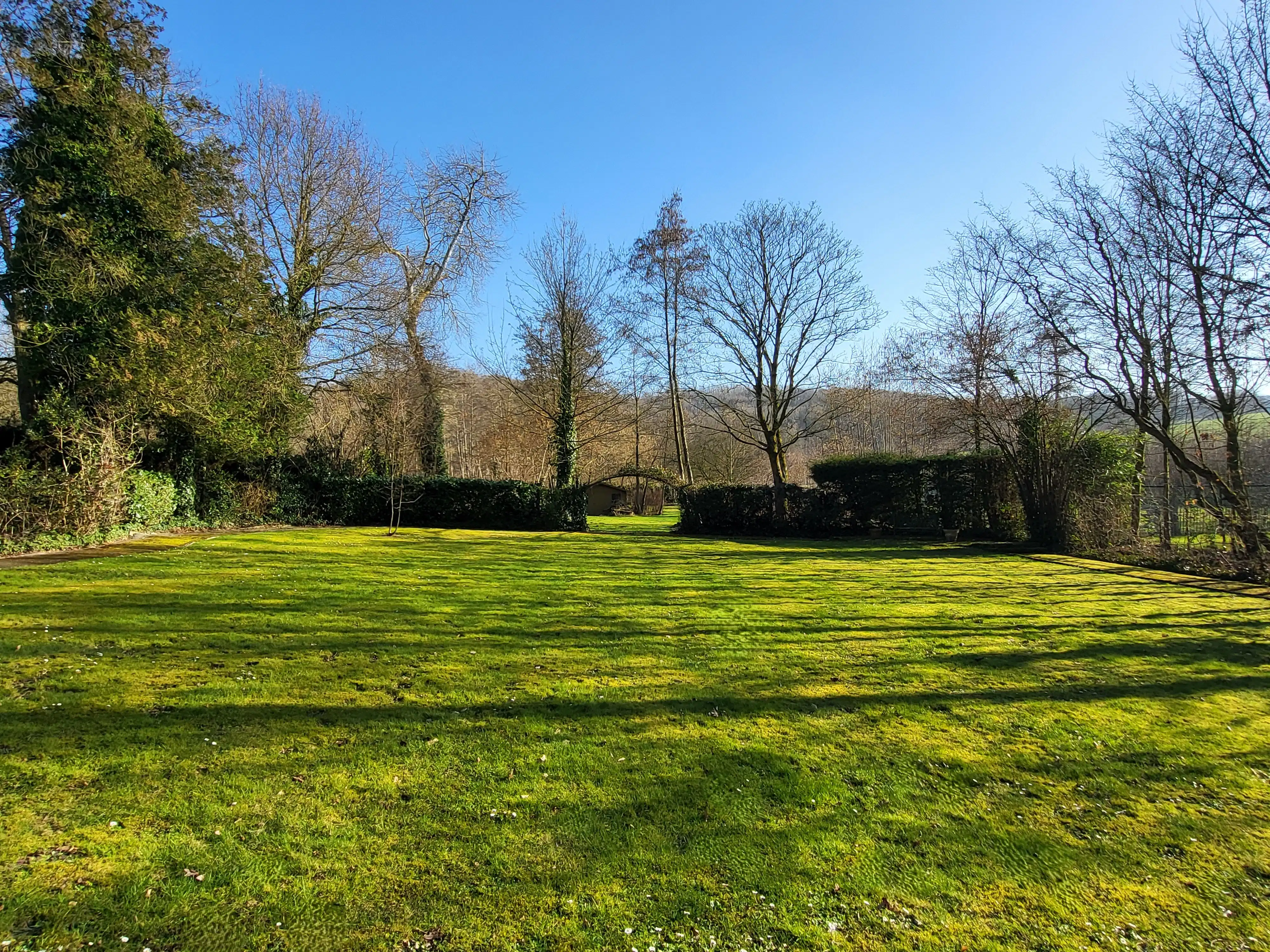 Uniek landhuis op een terrein van 3870m² met aangelegde zuidgerichte tuin en garage!  foto 5