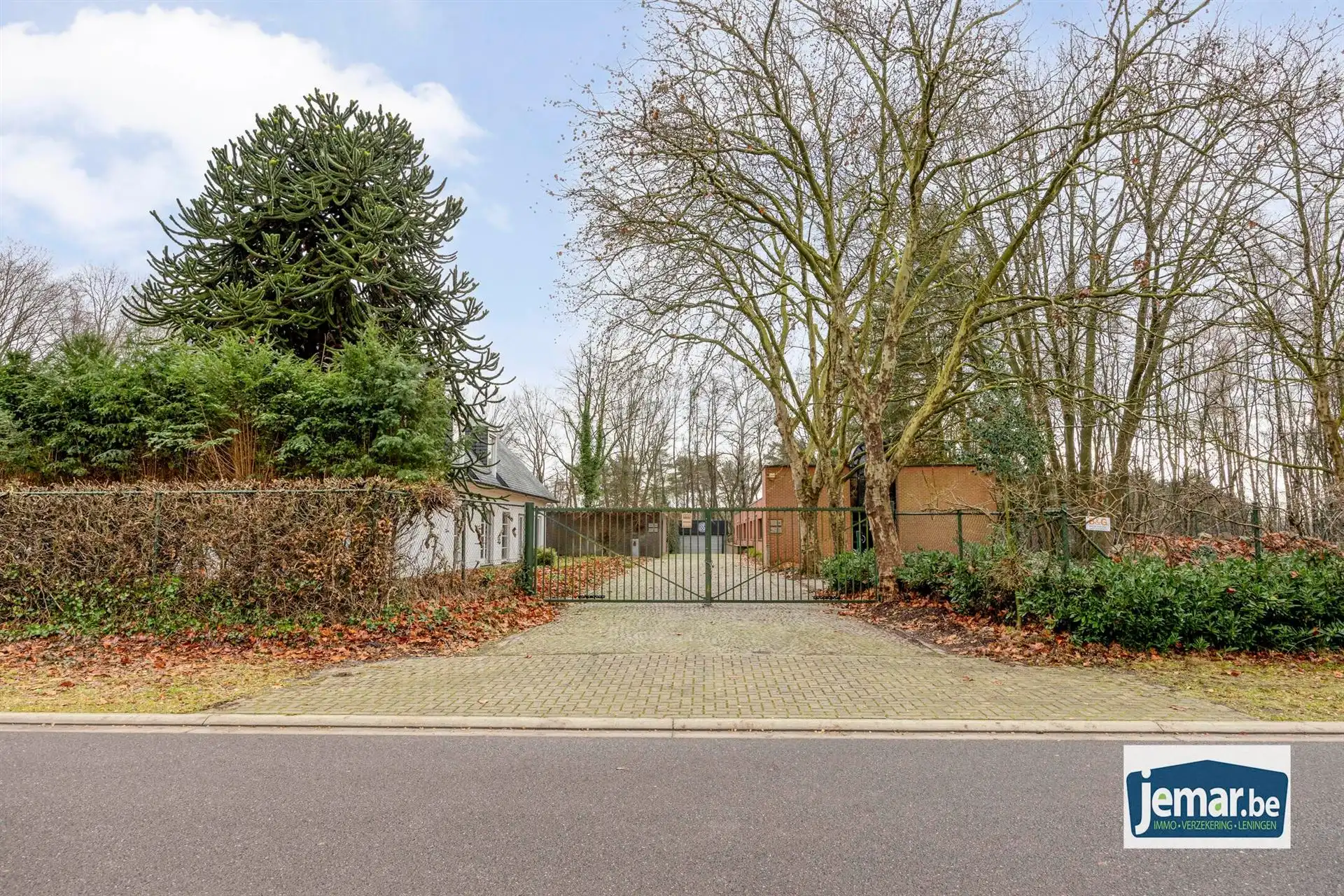 Villa met professionele opslagruimte, kelder en kantoorruimtes. foto 8