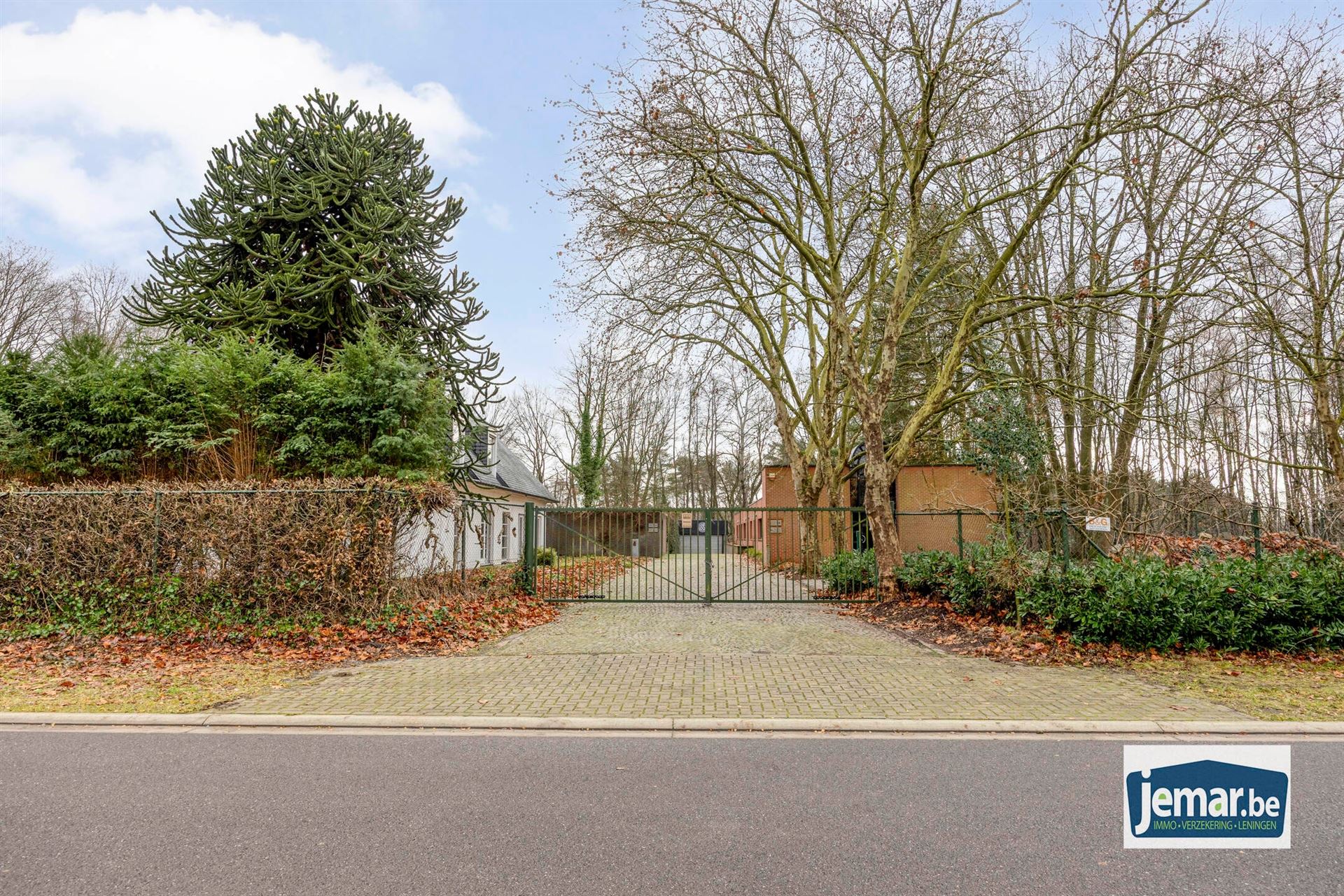 Villa met professionele opslagruimte, kelder en kantoorruimtes. foto 8