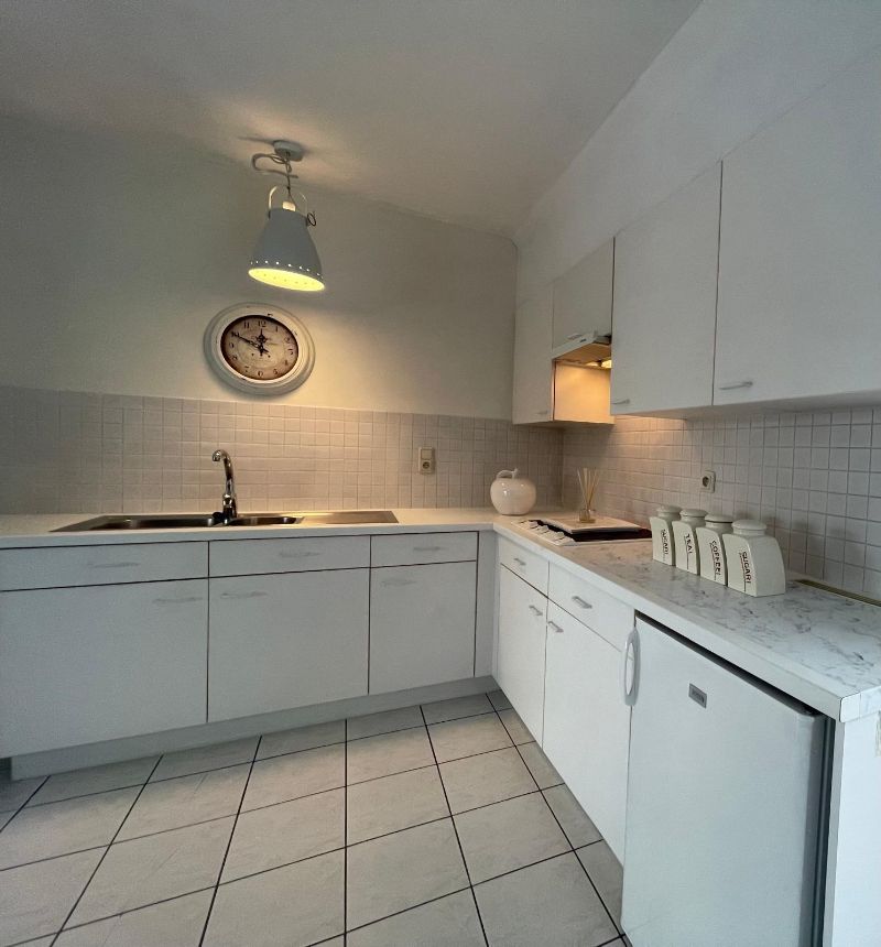 Instapklare zeer ruime studio/appartement met garage. foto 9